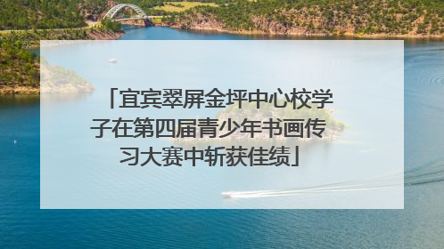 宜宾翠屏金坪中心校学子在第四届青少年书画传习大赛中斩获佳绩