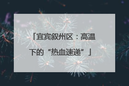 宜宾叙州区：高温下的“热血速递”