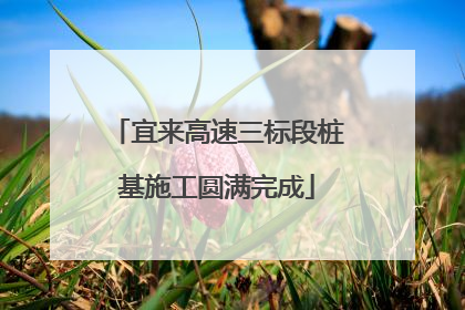宜来高速三标段桩基施工圆满完成