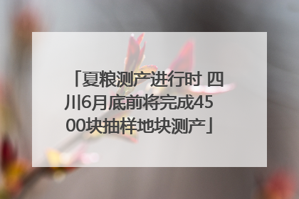 夏粮测产进行时 四川6月底前将完成4500块抽样地块测产