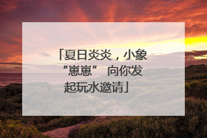 夏日炎炎，小象“崽崽” 向你发起玩水邀请