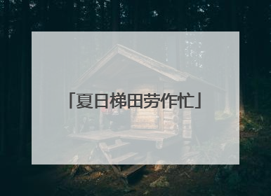 夏日梯田劳作忙