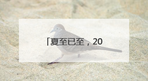 夏至已至，20字养生要诀分享