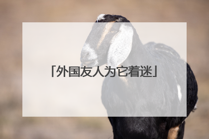 外国友人为它着迷
