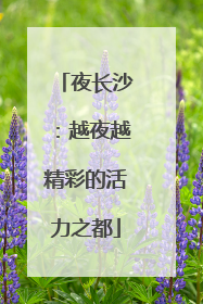 夜长沙：越夜越精彩的活力之都