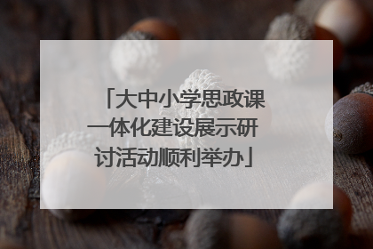大中小学思政课一体化建设展示研讨活动顺利举办