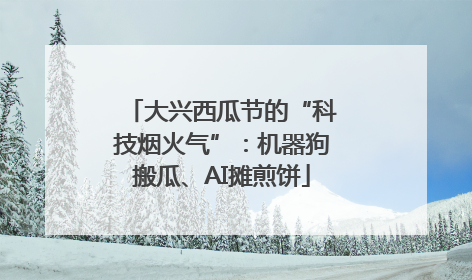 大兴西瓜节的“科技烟火气”：机器狗搬瓜、AI摊煎饼