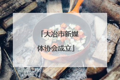 大冶市新媒体协会成立