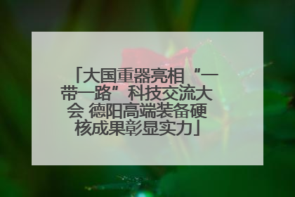 大国重器亮相“一带一路”科技交流大会 德阳高端装备硬核成果彰显实力