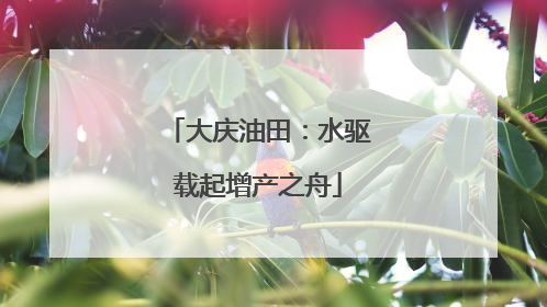 大庆油田：水驱载起增产之舟