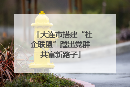 大连市搭建“社企联盟”蹚出党群共富新路子