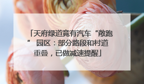 天府绿道竟有汽车“敞跑” 园区：部分路段和村道重叠，已做减速提醒