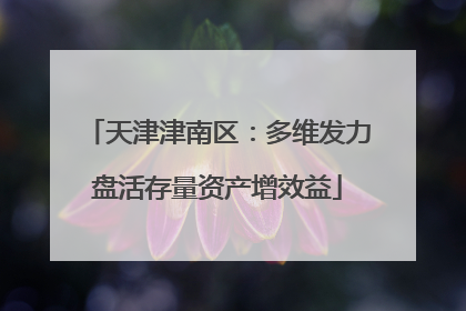 天津津南区：多维发力盘活存量资产增效益