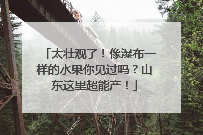 太壮观了！像瀑布一样的水果你见过吗？山东这里超能产！
