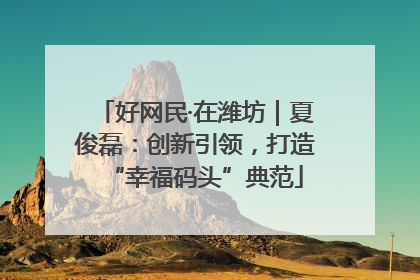 好网民·在潍坊｜夏俊磊：创新引领，打造“幸福码头”典范
