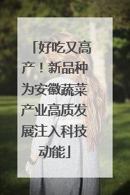 好吃又高产！新品种为安徽蔬菜产业高质发展注入科技动能