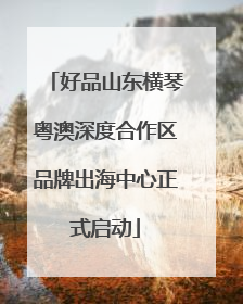 好品山东横琴粤澳深度合作区品牌出海中心正式启动