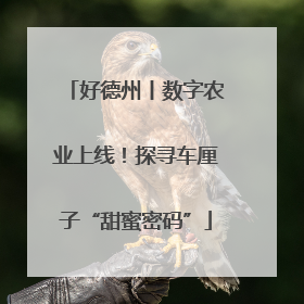 好德州丨数字农业上线！探寻车厘子“甜蜜密码”