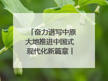 奋力谱写中原大地推进中国式现代化新篇章丨下非常之功 战非常“三夏”
