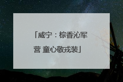 威宁：棕香沁军营 童心敬戎装