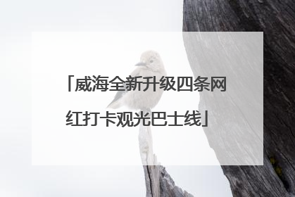 威海全新升级四条网红打卡观光巴士线
