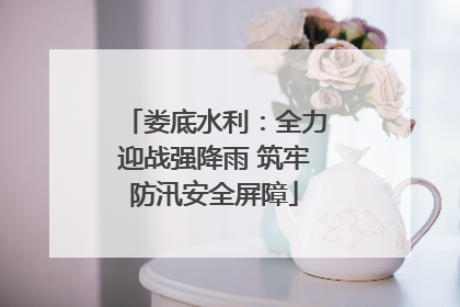 娄底水利：全力迎战强降雨 筑牢防汛安全屏障