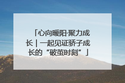 心向暖阳·聚力成长｜一起见证骄子成长的“破茧时刻”