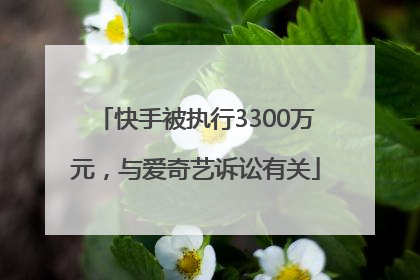 快手被执行3300万元，与爱奇艺诉讼有关