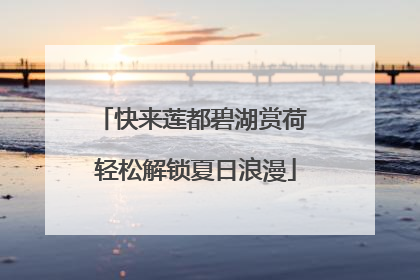 快来莲都碧湖赏荷 轻松解锁夏日浪漫