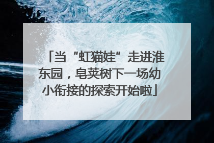 当“虹猫娃”走进淮东园，皂荚树下一场幼小衔接的探索开始啦