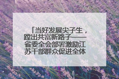 当好发展尖子生，蹚出共富新路子——省委全会部署激励江苏干部群众促进全体人民共同富裕