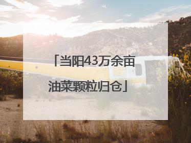 当阳43万余亩油菜颗粒归仓