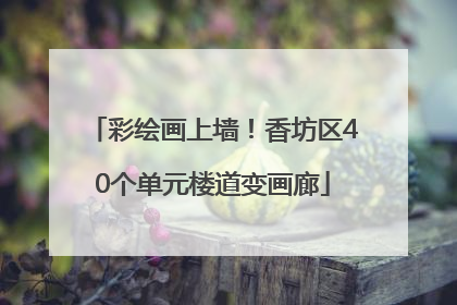 彩绘画上墙！香坊区40个单元楼道变画廊
