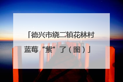 德兴市绕二镇花林村蓝莓“紫”了（图）