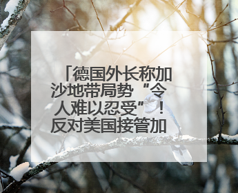 德国外长称加沙地带局势“令人难以忍受”！反对美国接管加沙地带的想法