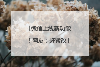 微信上线新功能！网友：赶紧改