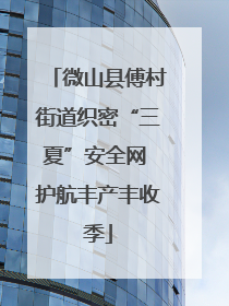 微山县傅村街道织密“三夏”安全网 护航丰产丰收季