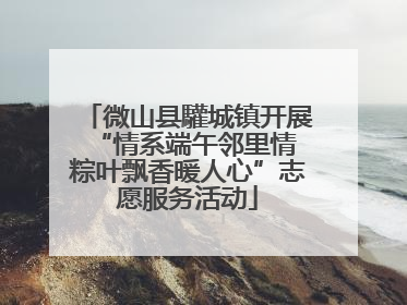 微山县驩城镇开展“情系端午邻里情 粽叶飘香暖人心”志愿服务活动