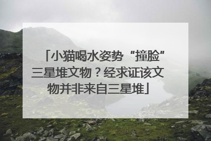 小猫喝水姿势“撞脸”三星堆文物？经求证该文物并非来自三星堆