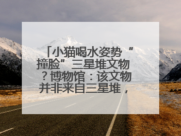 小猫喝水姿势“撞脸”三星堆文物？博物馆：该文物并非来自三星堆，有可能是它