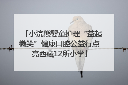 小浣熊婴童护理“益起微笑”健康口腔公益行点亮西藏12所小学