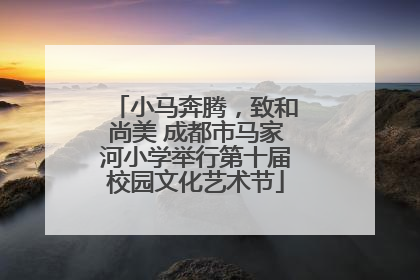 小马奔腾，致和尚美 成都市马家河小学举行第十届校园文化艺术节