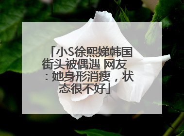小S徐熙娣韩国街头被偶遇 网友：她身形消瘦，状态很不好