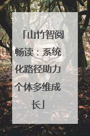 山竹智阅畅读：系统化路径助力个体多维成长