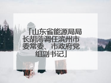 山东省能源局局长胡薄调任滨州市委常委、市政府党组副书记