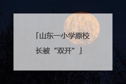 山东一小学原校长被“双开”