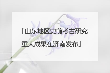 山东地区史前考古研究重大成果在济南发布