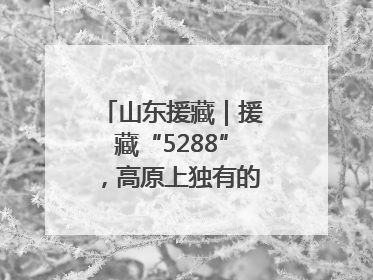 山东援藏｜援藏“5288”，高原上独有的“烟台浪漫”