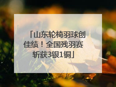 山东轮椅羽球创佳绩！全国残羽赛斩获3银1铜