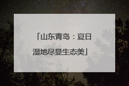 山东青岛：夏日湿地尽显生态美